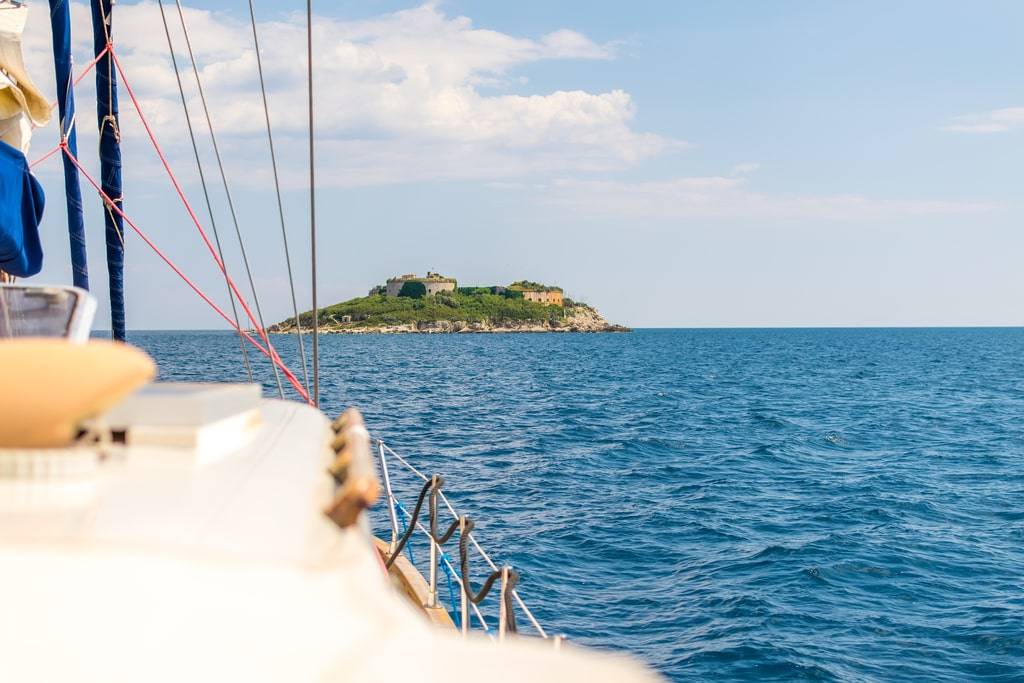 Searush Tours
