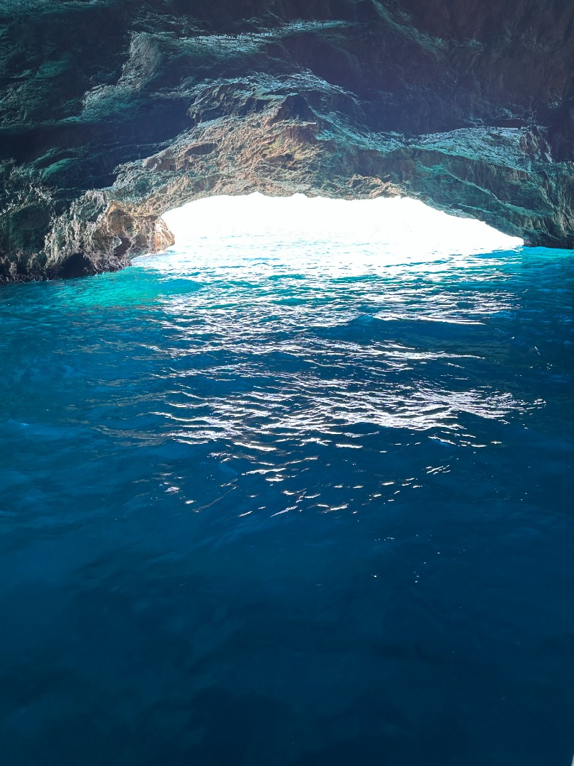 Sea Rush Speedboat Tours
